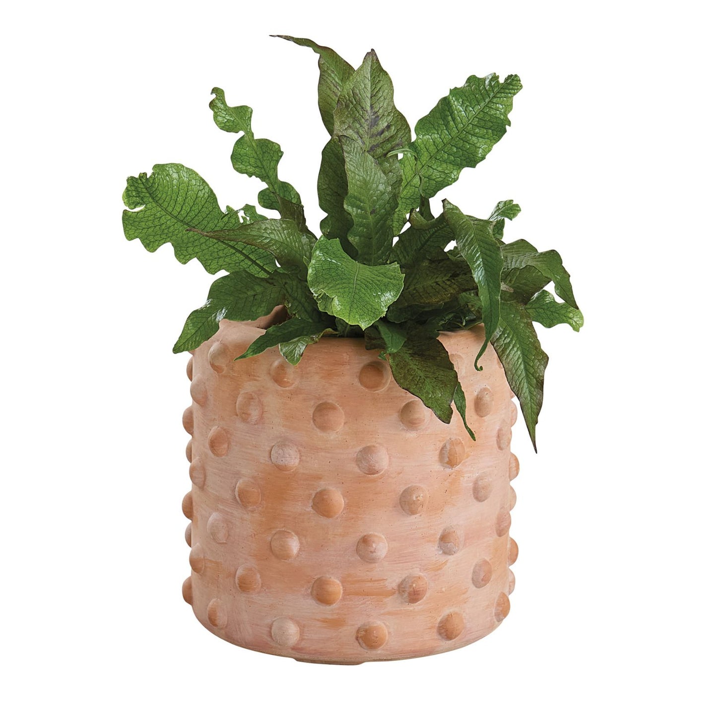 Carson Kressley Bauble Planter