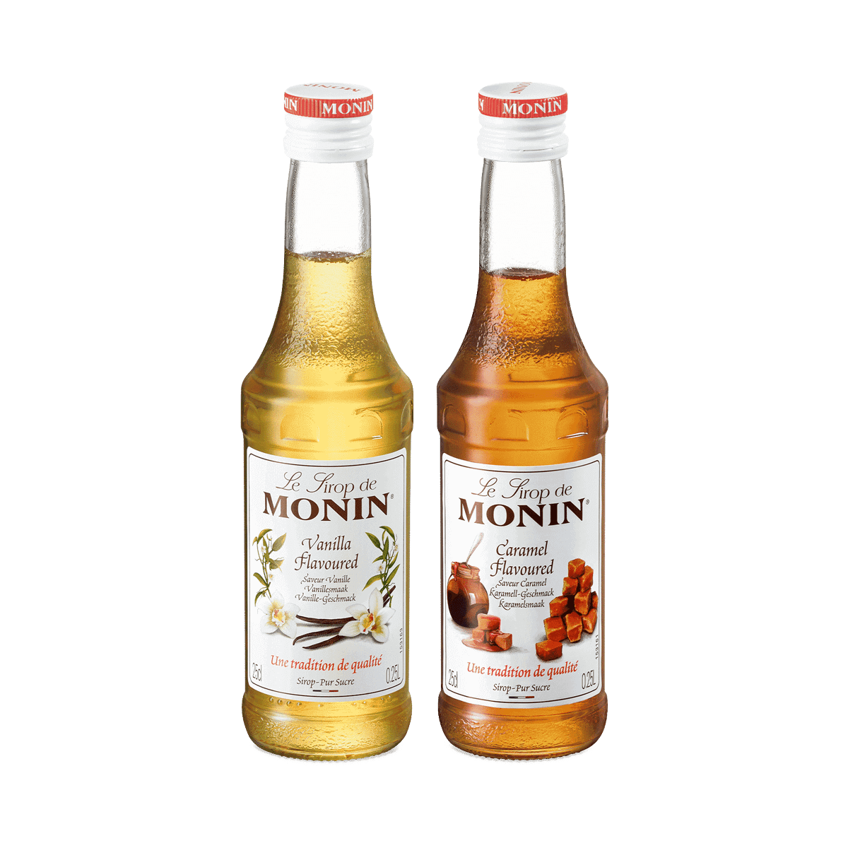 Monin Syrup Kit
