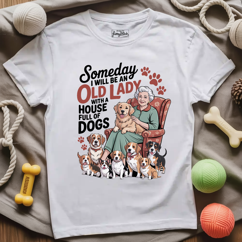 Someday Old Lady T-shirt