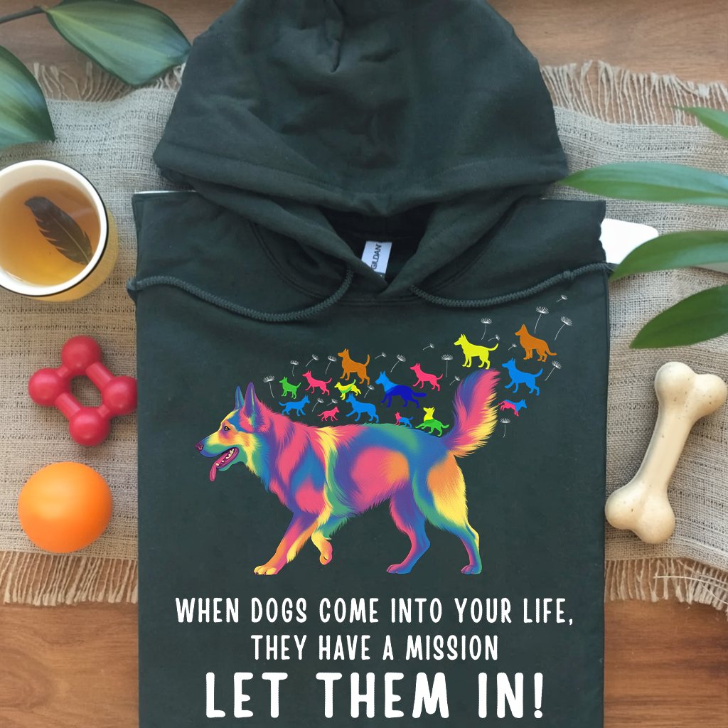 Colorful Shepherd Mission Hoodie