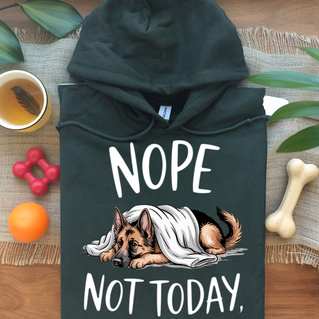 Nope Not Today Hoodie