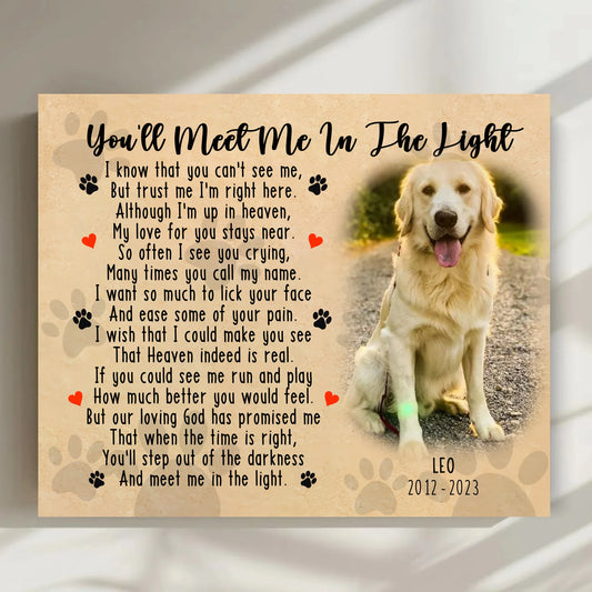youll-meet-me-in-the-light-a dogs-poem-to the-owner-about love-and-eternal-bond