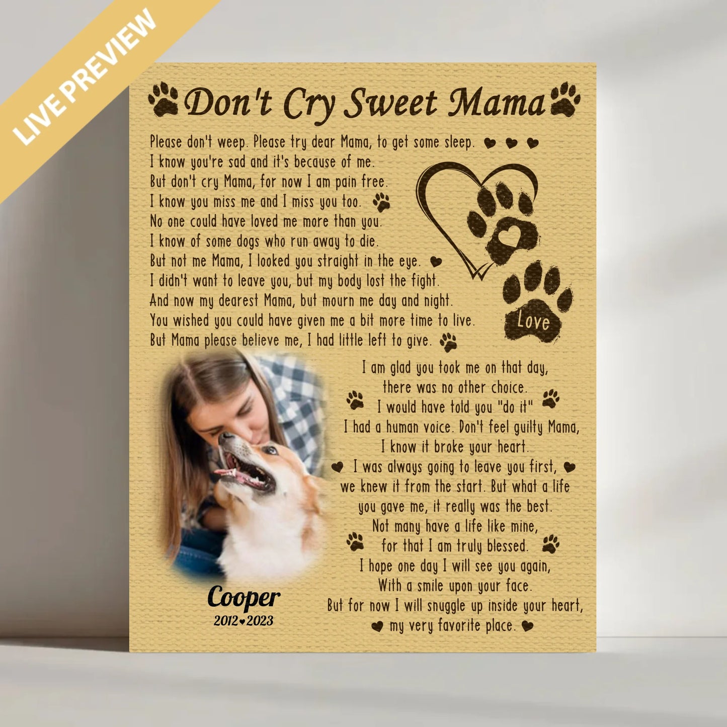 16x20 - Wrapped- Mockup Canvas Doc Bo Vien