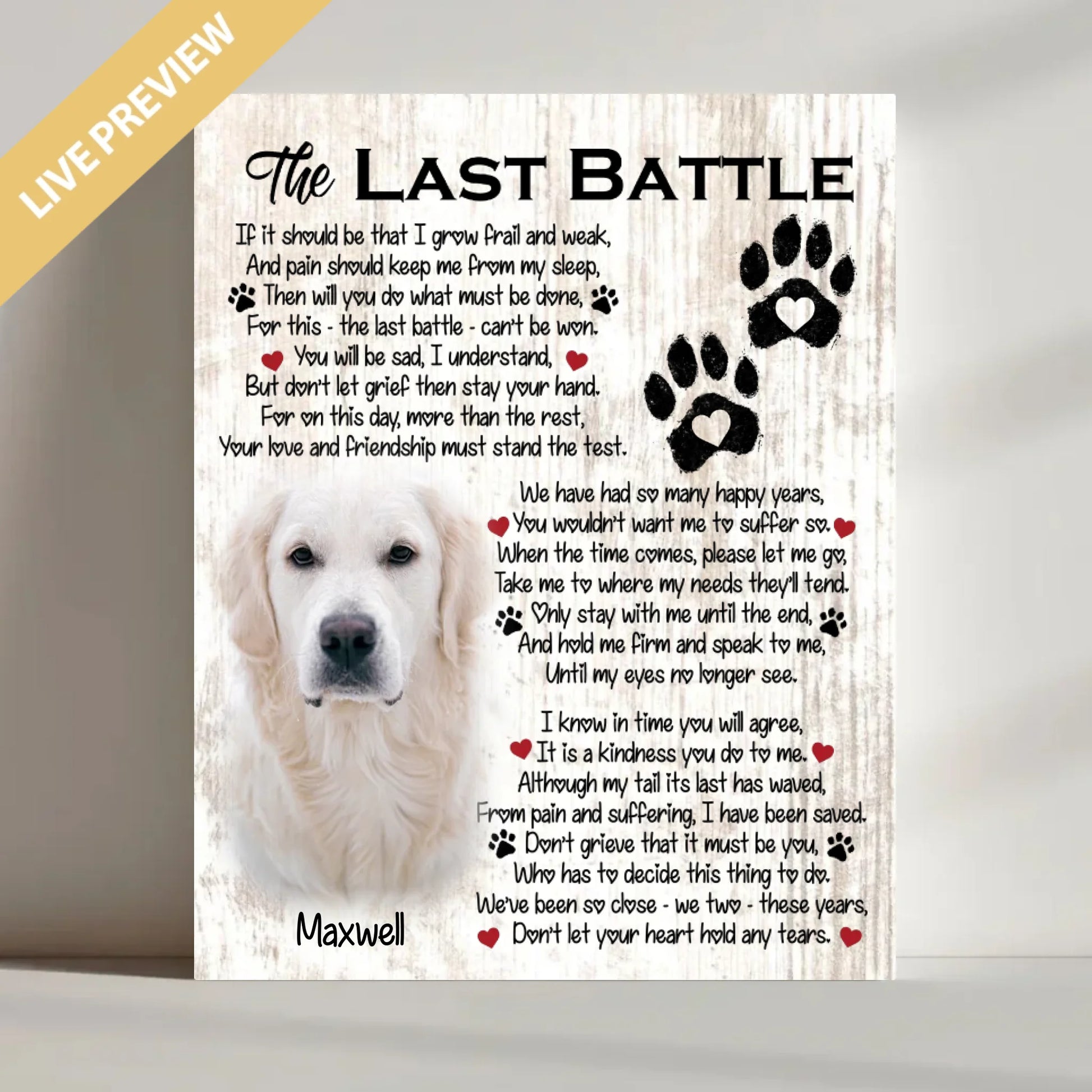 16x20 - Wrapped- Mockup Canvas Doc Bo Vien