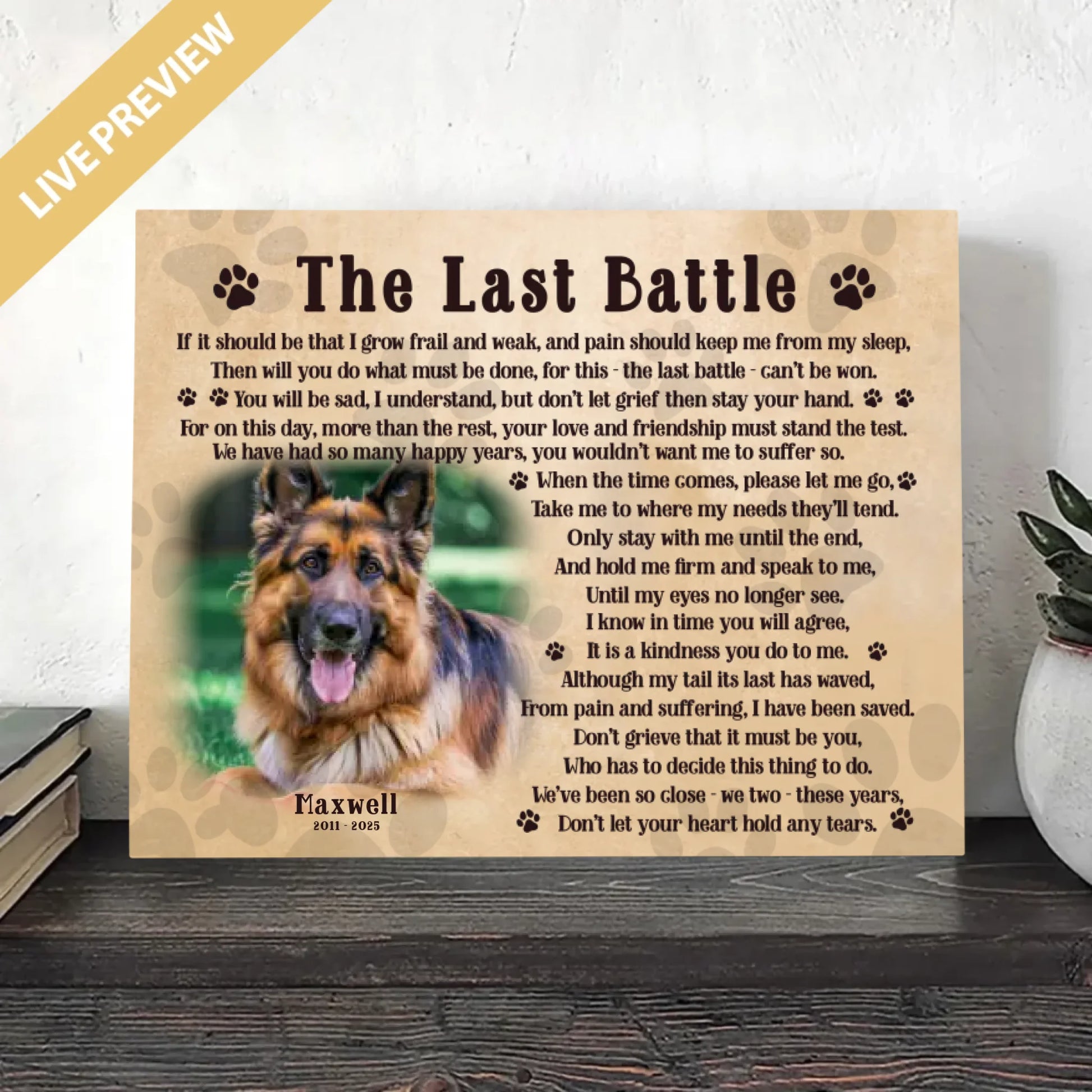 20x16 - Mockup Wrapped Canvas Ngang 2