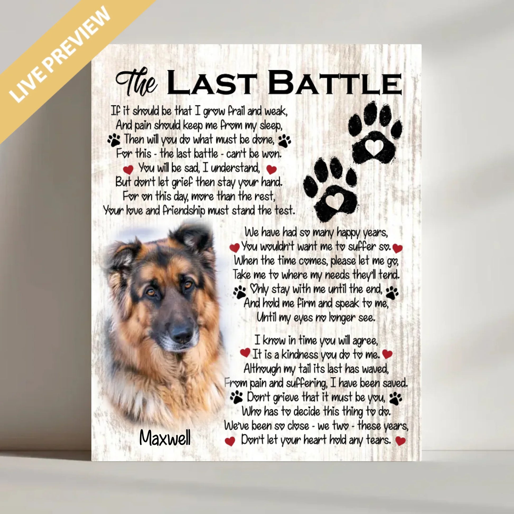 16x20 - Wrapped- Mockup Canvas Doc Bo Vien