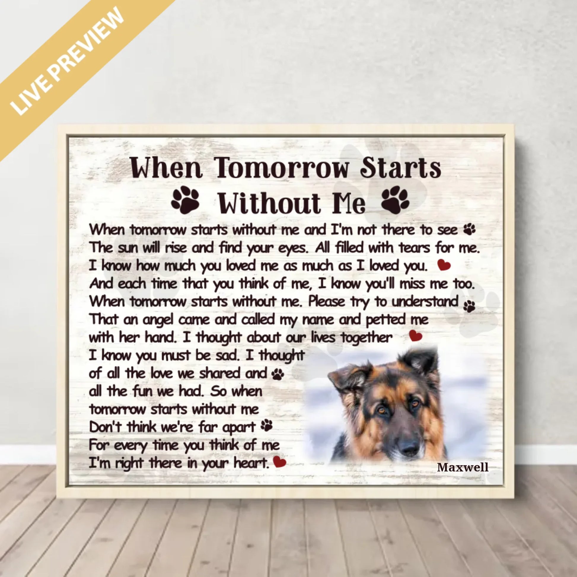 20x16 - Framed Nature - Mockup Canvas Ngang