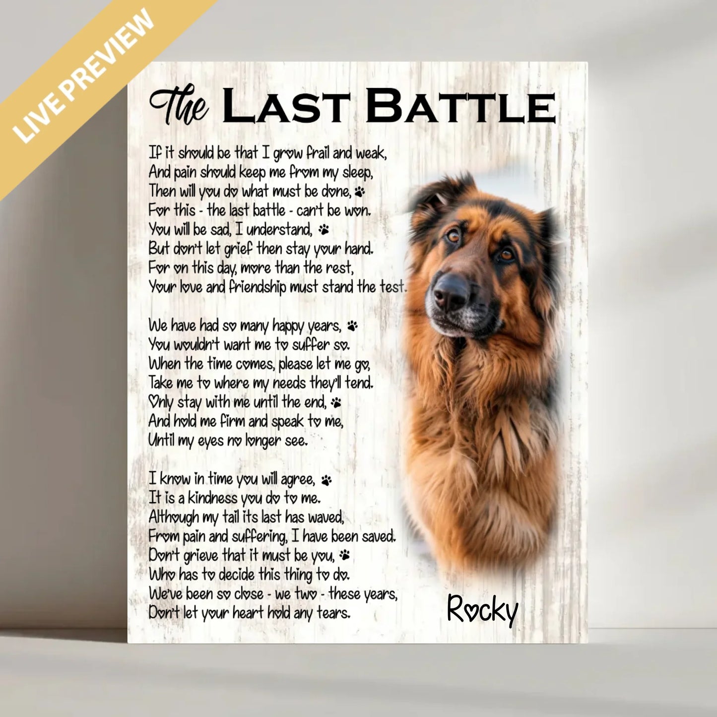 16x20 - Wrapped- Mockup Canvas Doc Bo Vien