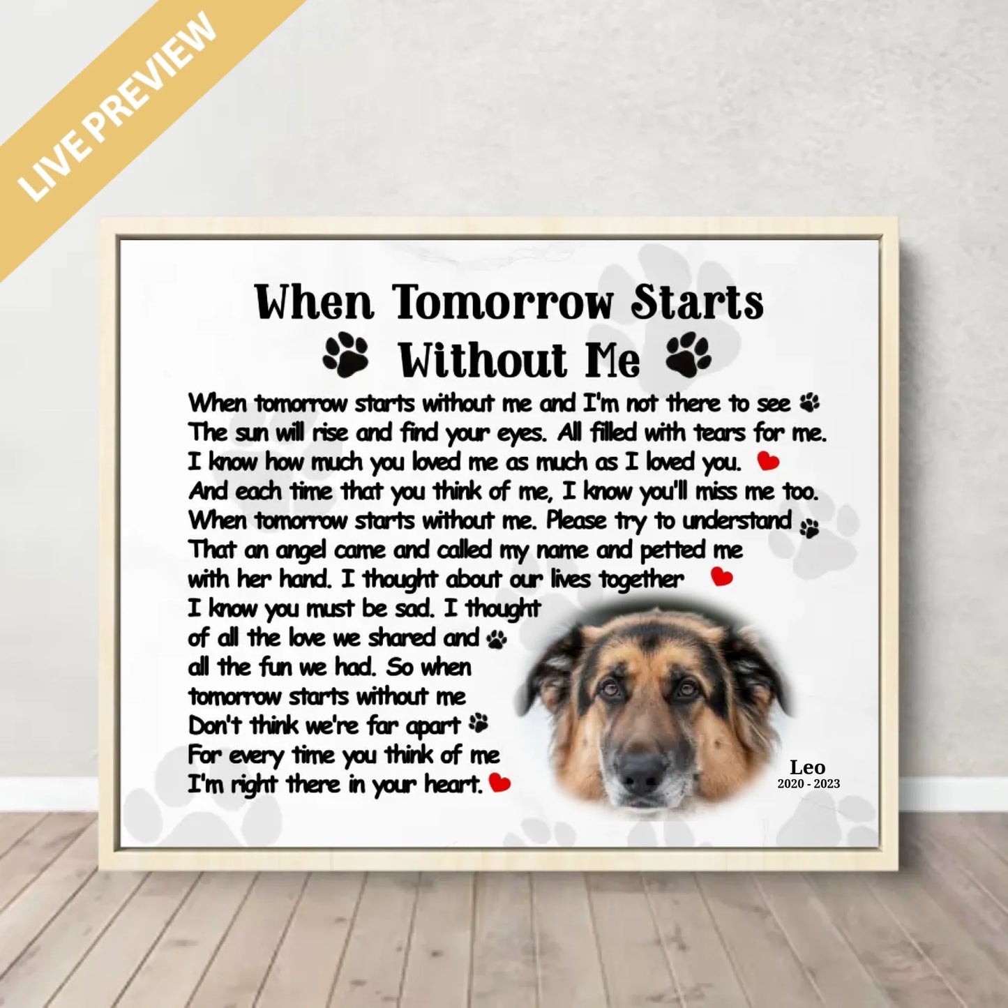 20x16 - Framed Nature - Mockup Canvas Ngang