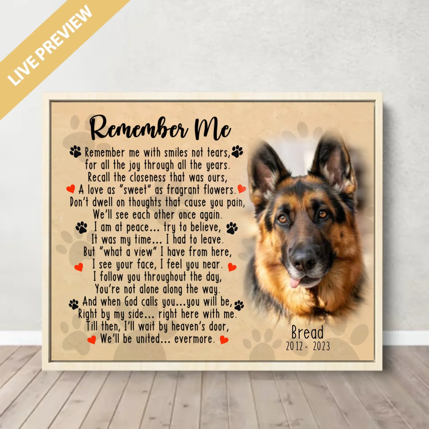 20x16 - Framed Nature - Mockup Canvas Ngang