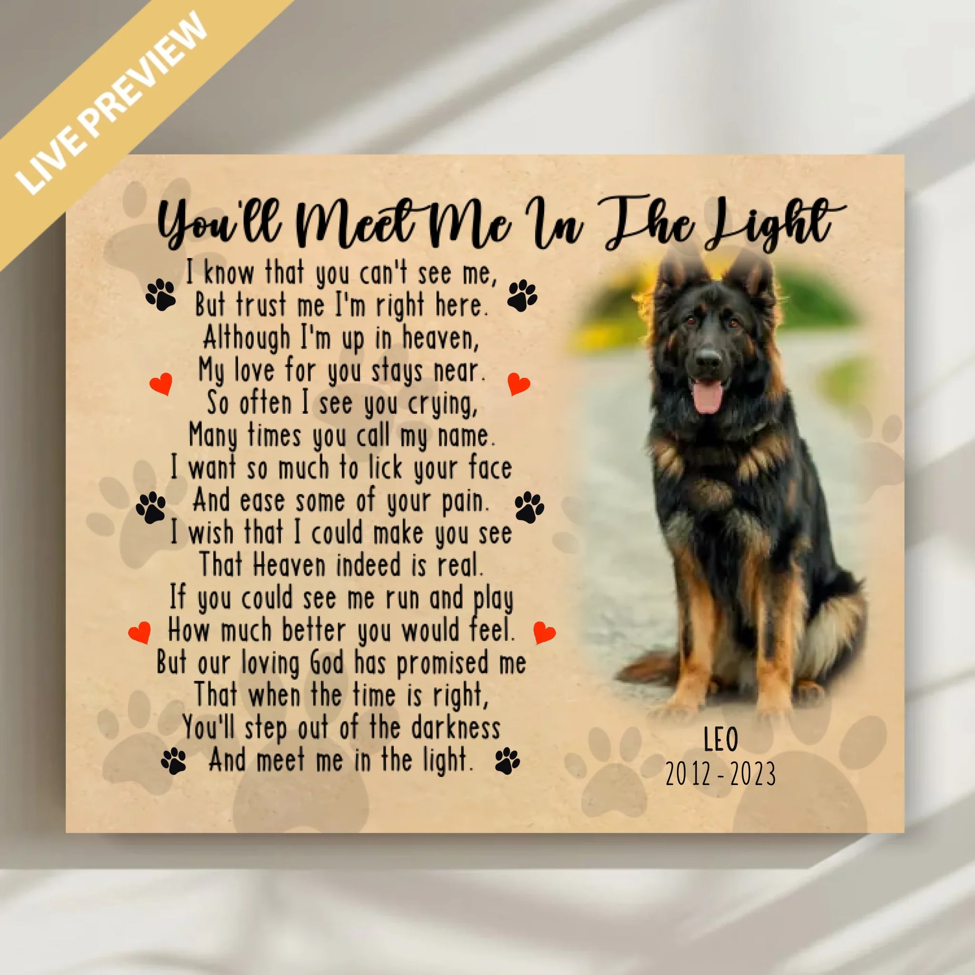 20x16 - Mockup Wrapped Canvas Ngang 2