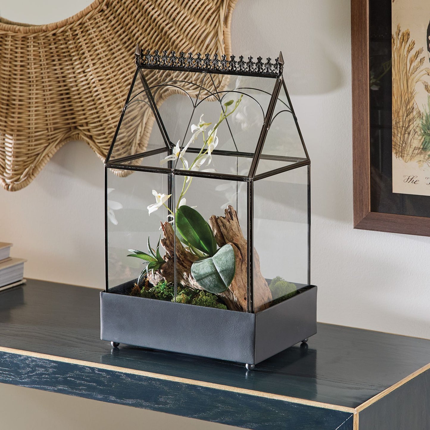 Classic Glass Terrarium