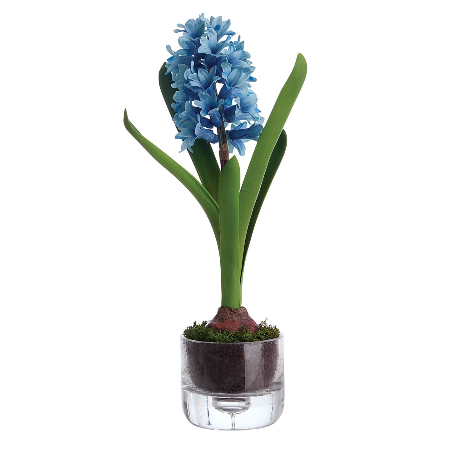 Hyacinth Floral Arrangement in Vase