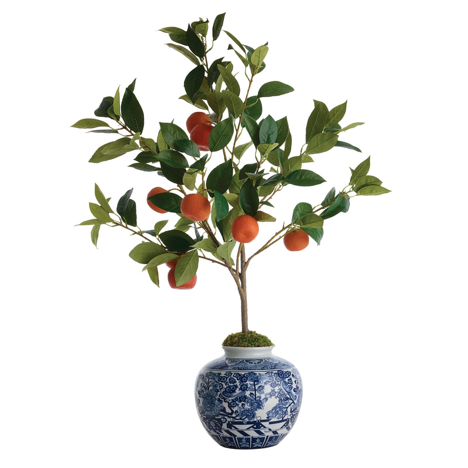 Faux Citrus Tree in Planter