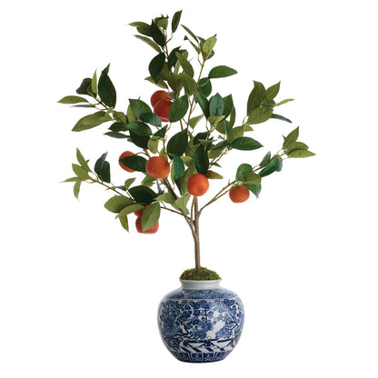 Faux Citrus Tree in Planter