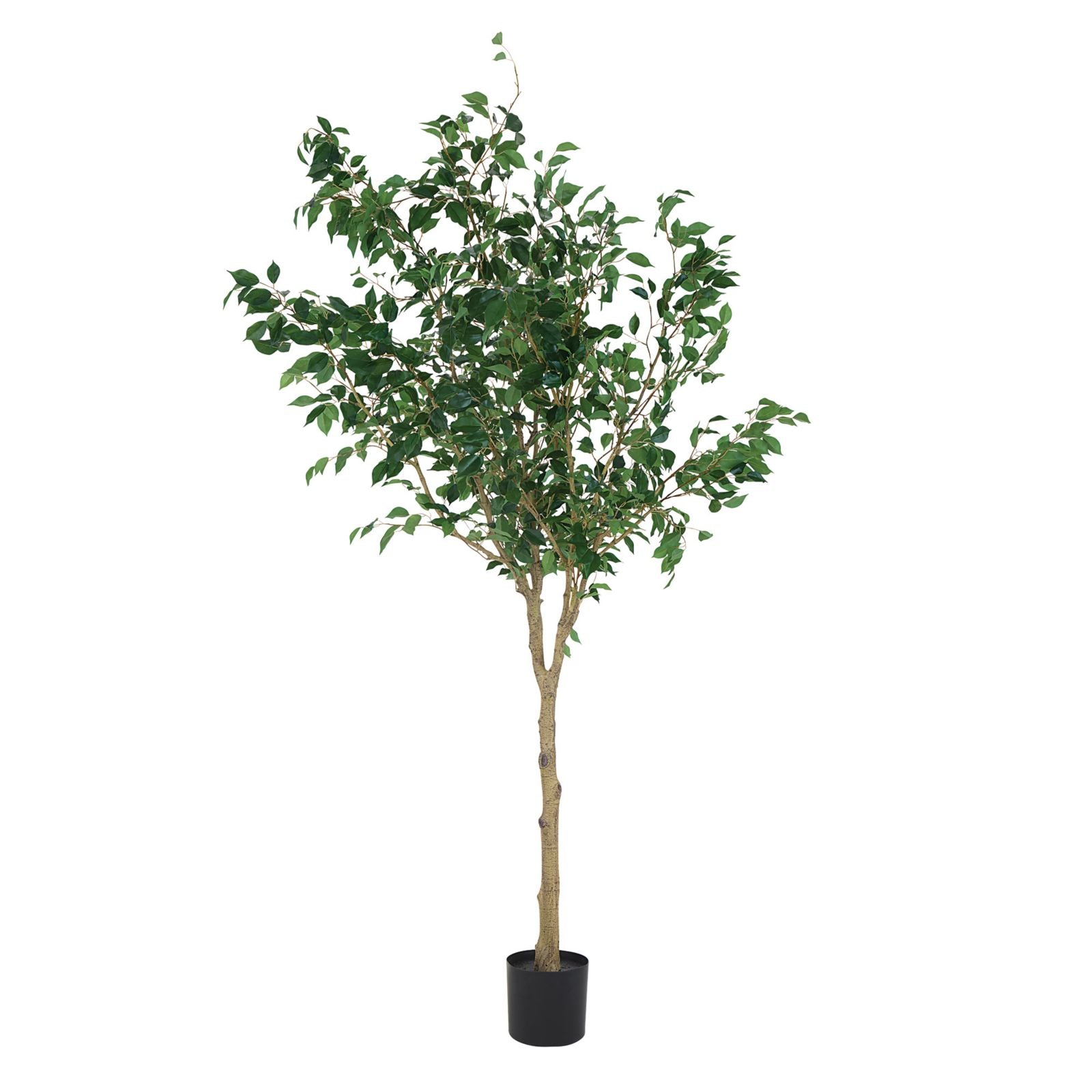 Faux Tall Ficus Tree