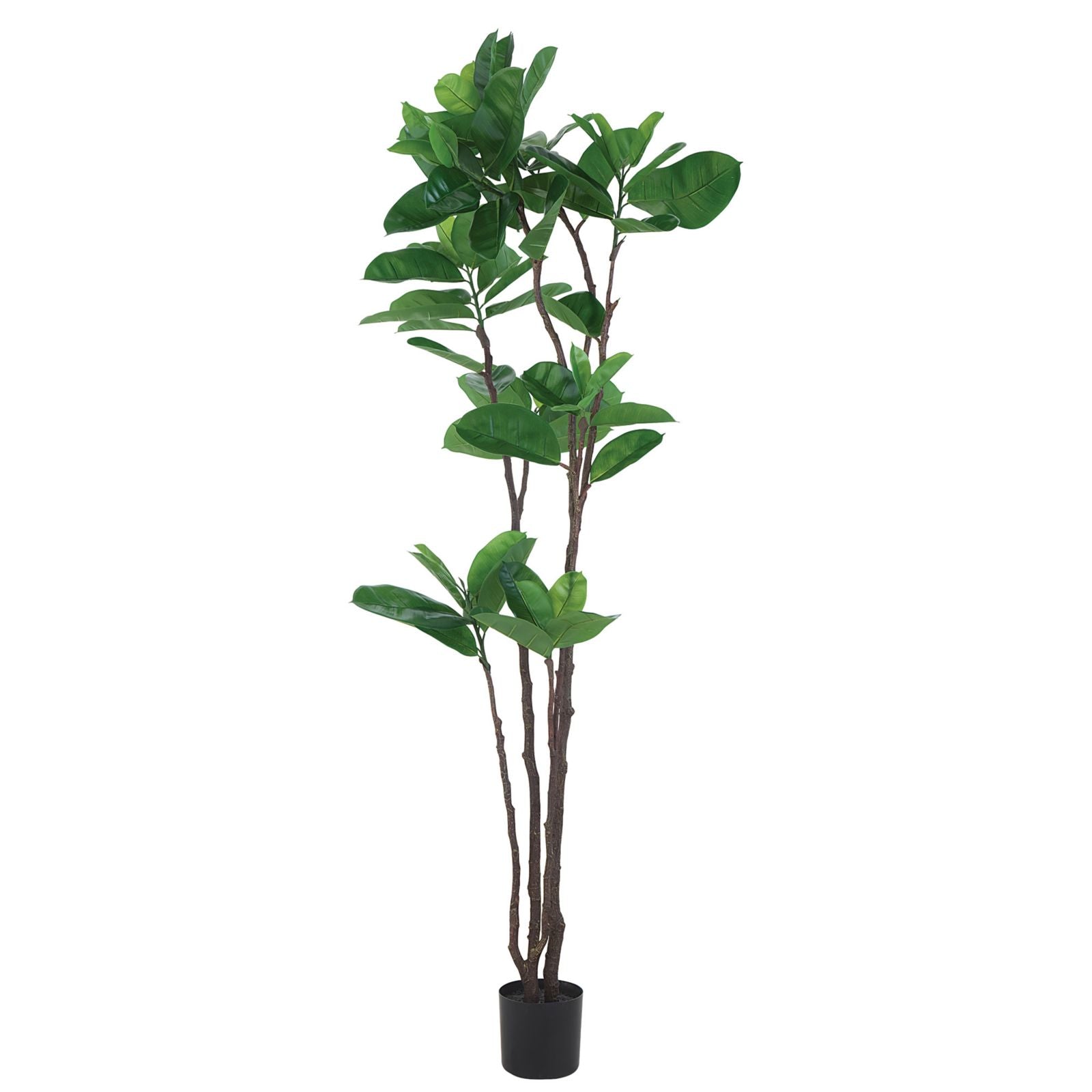 Faux Tall Rubber Leaf Tree