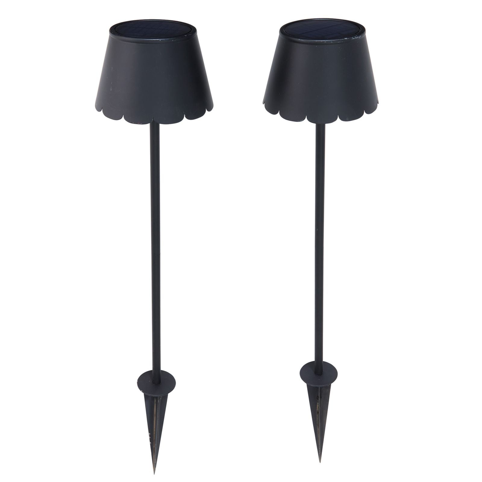 Hanna Scallop Solar Path Light - Set of 2