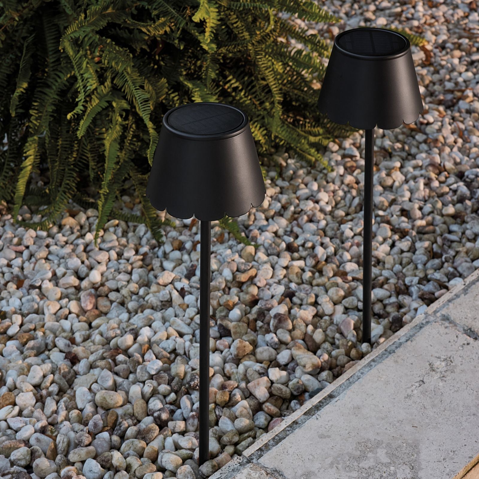 Hanna Scallop Solar Path Light - Set of 2
