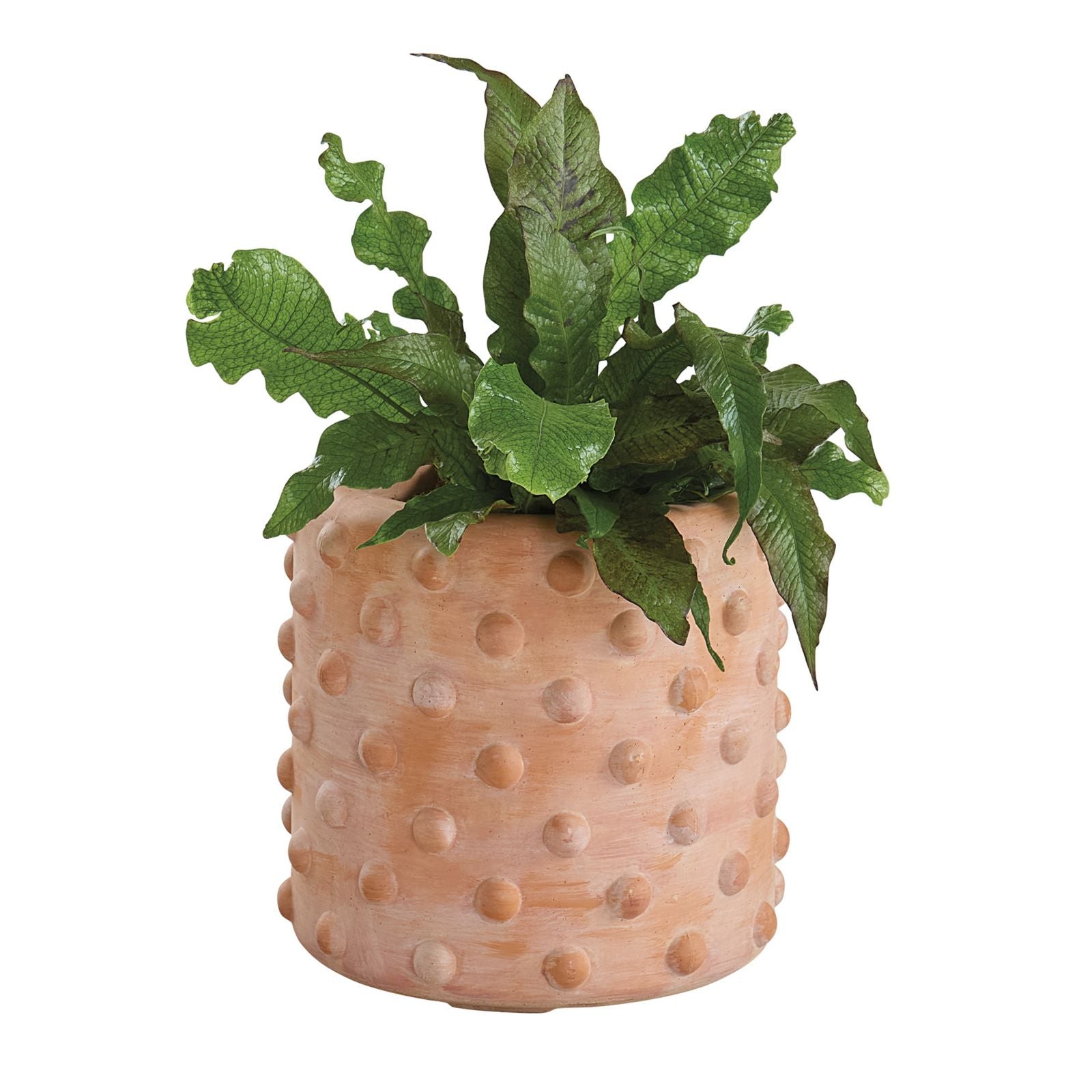 Carson Kressley Bauble Planter