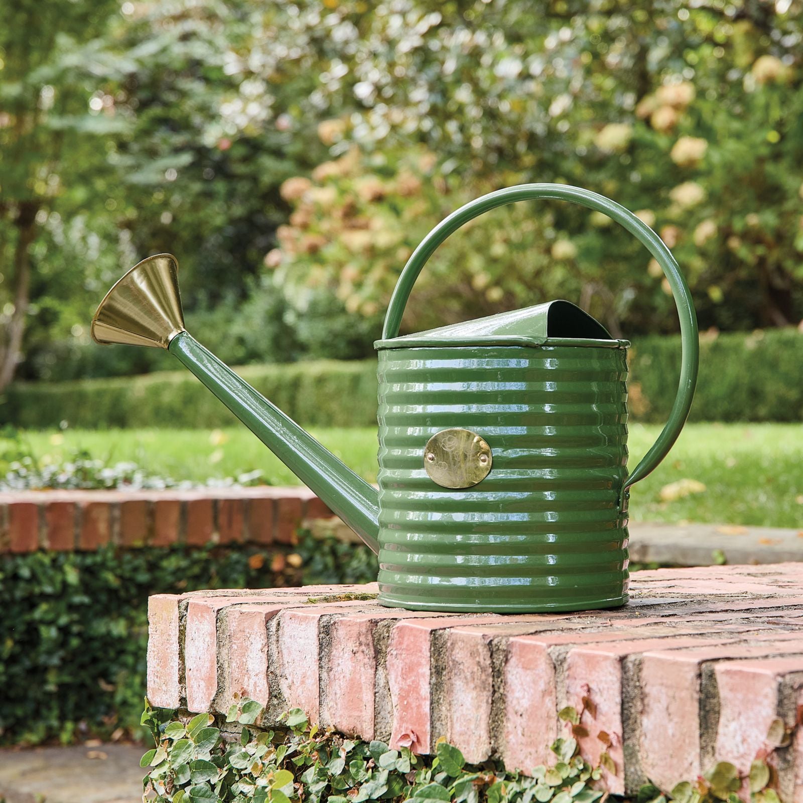 Marigold Watering Can