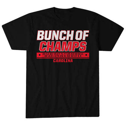 Unisex Carolina Hurricanes Hockey Bunch of Champs Graphic Shirt for Hockey Fans