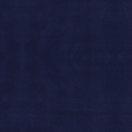 Signature Velvet Drapery Panel