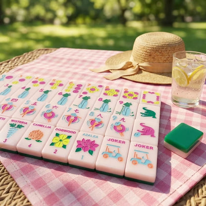 American Mahjong Tile Set Classic Club Design for Family Game Nights 160 Piece Acrylic Set with Storage Bag